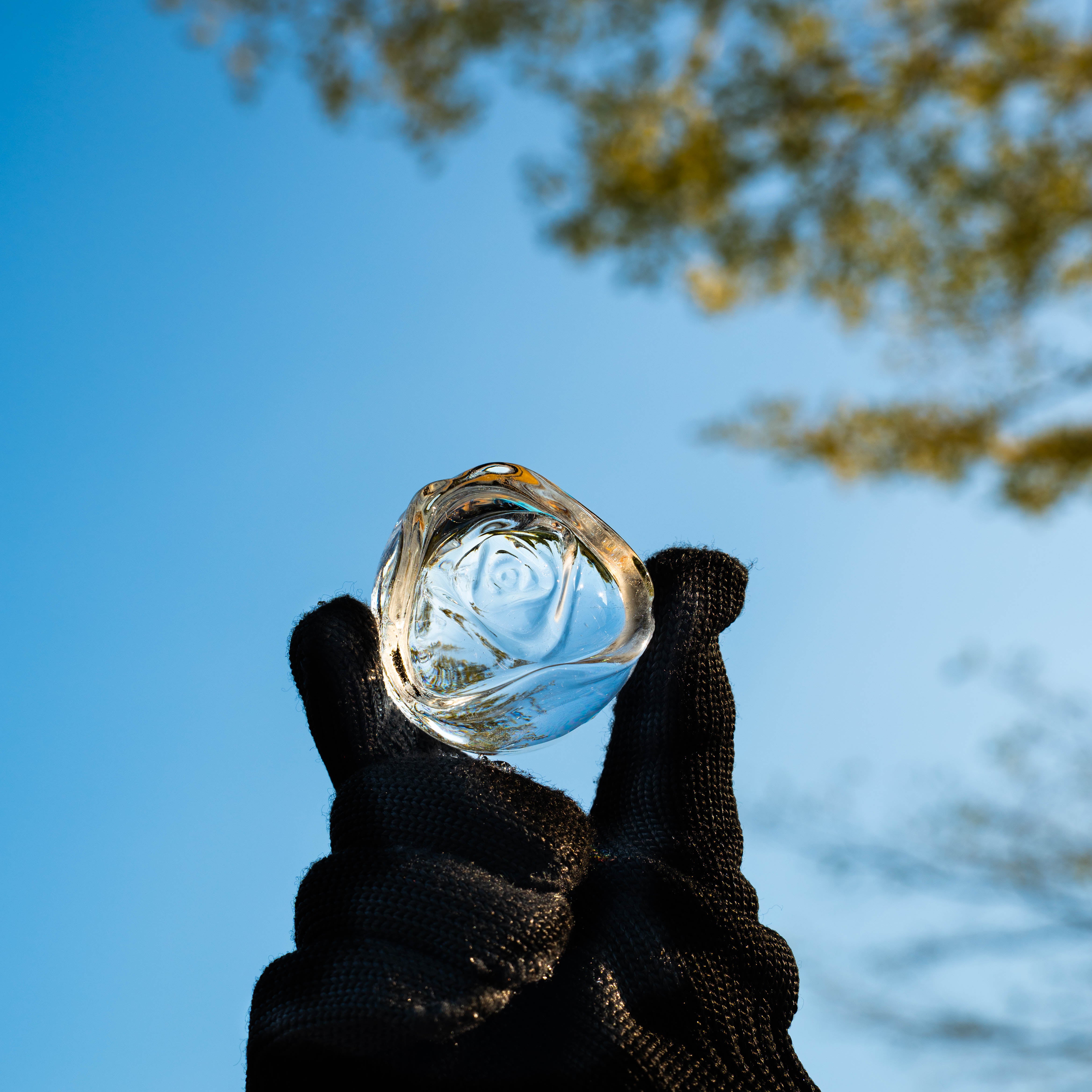 GLAZER mini - Rose Series