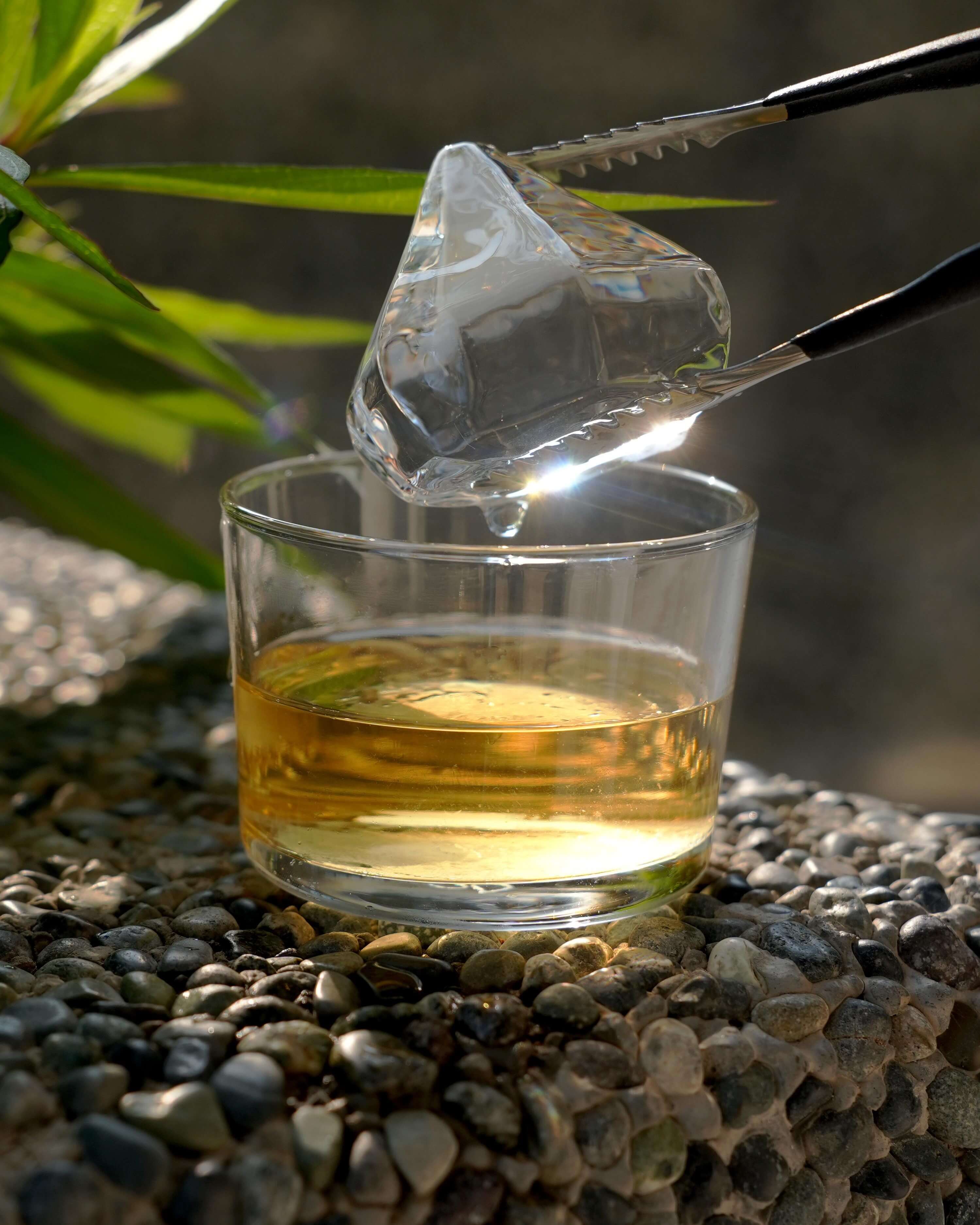 6 Best Ice Press Machines for Diamond-Shaped Ice: Ultimate Buyer’s Guide 2025