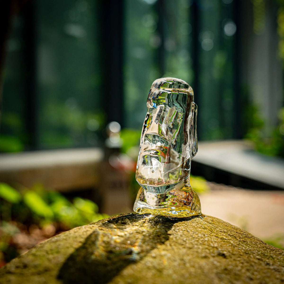 GLAZER Max Moai