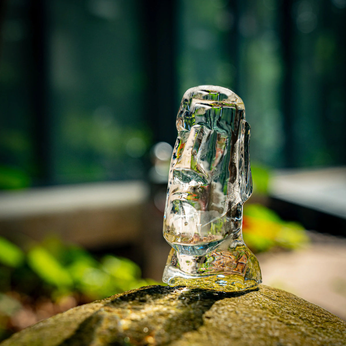 GLAZER Max Moai