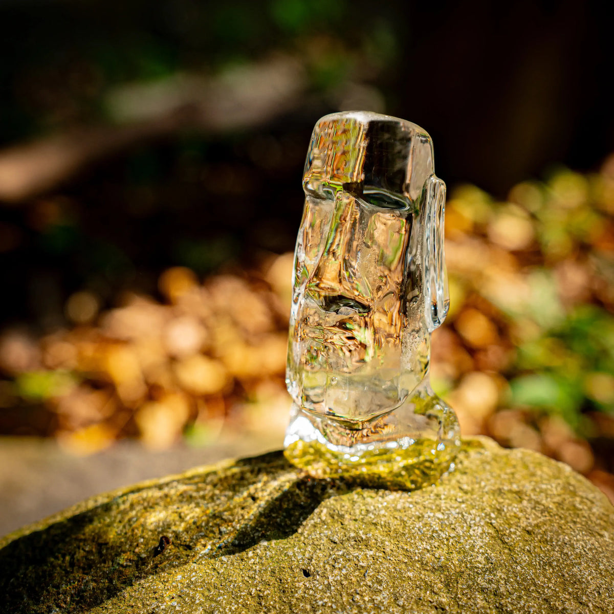 GLAZER Max Moai