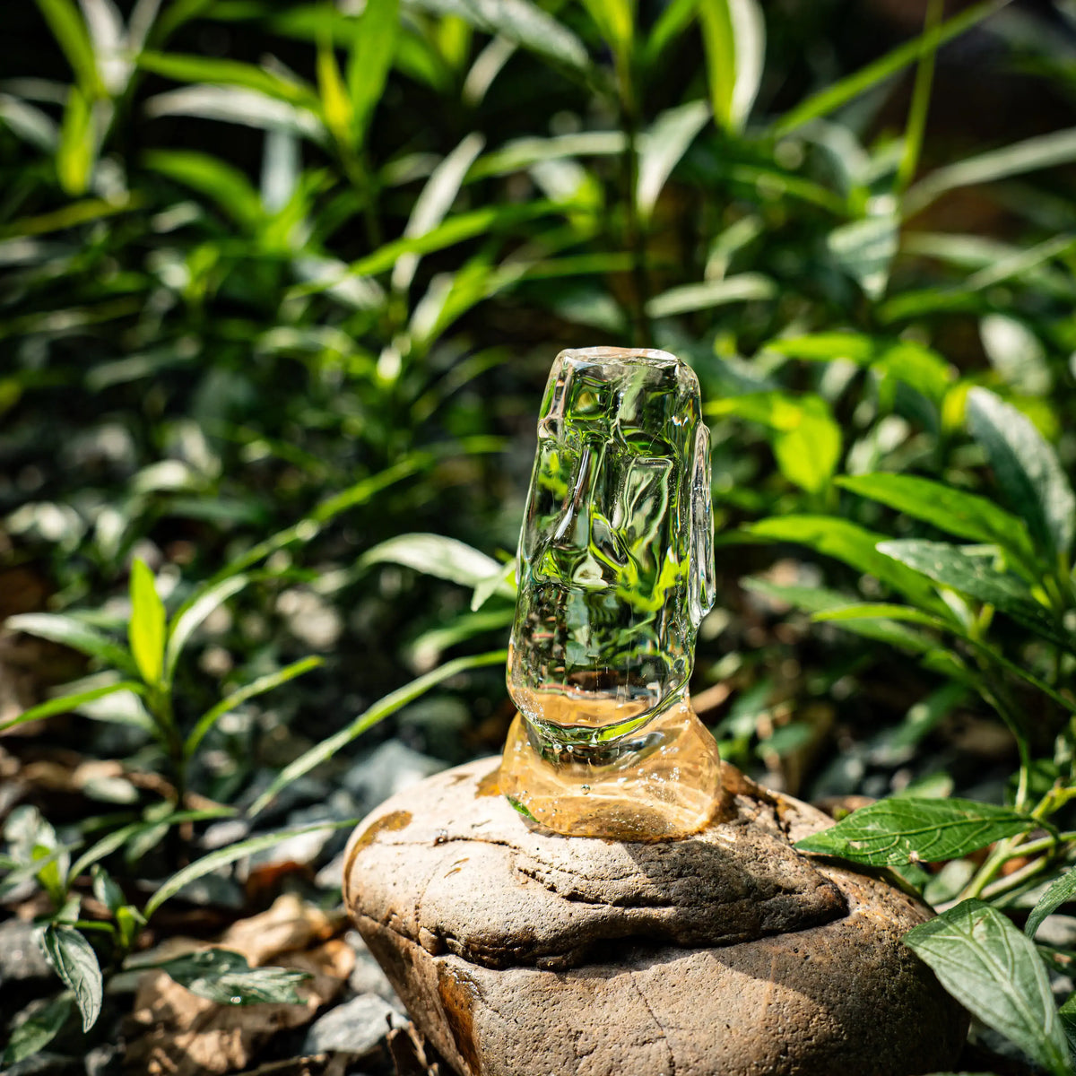 GLAZER Max Moai