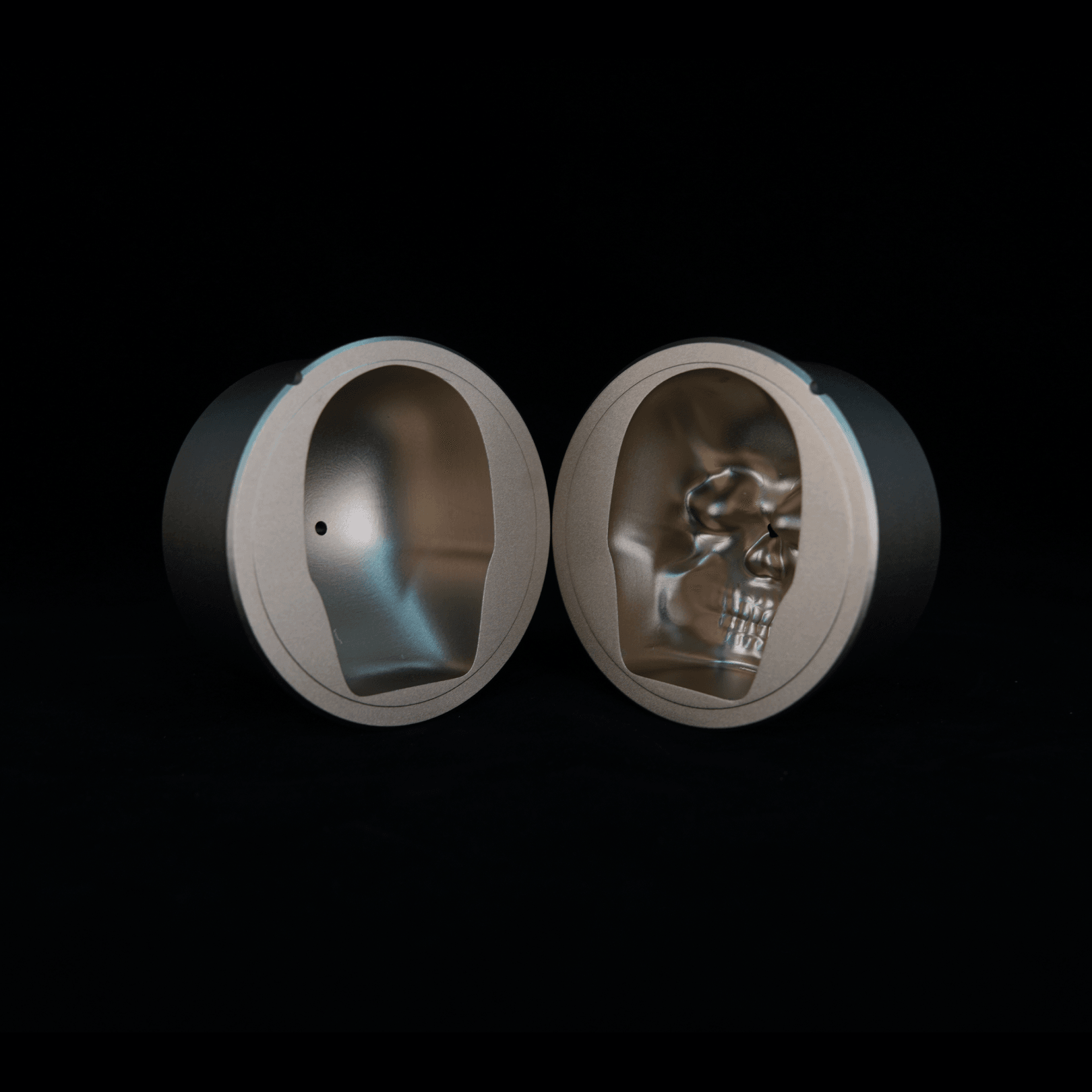 Skull inserts | skull ice mold